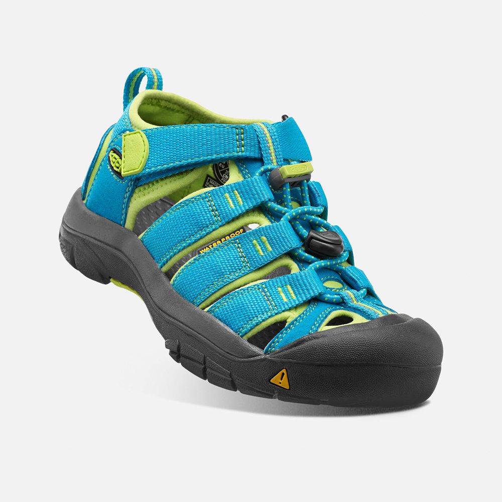 Sandalias Keen Mexico Azules/Verdes - Niños Newport H2 - CM4931872